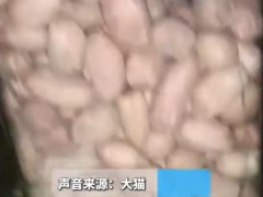 女子把发霉花生做成奶喝后中毒抽搐 黄曲霉素晒干或水煮都破坏不了！