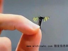蚊子大小无人机问世意味着什么 未来战场侦察革新[推荐]