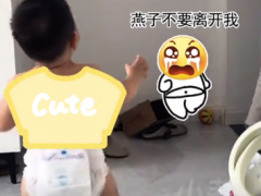 萌娃确认爸爸走远后哭声秒停 网友：宝宝给足了情绪价值[推荐]