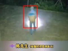 父亲凌晨摘30斤李子儿子发声 感动瞬间泪目[推荐]