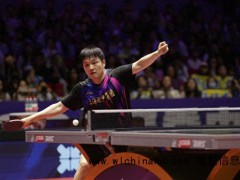 樊振东乒超10战10胜 延续不败神话[推荐]