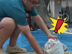 爸爸带娃在泳池边玩水时 没想到宝宝一头扎进水[推荐]