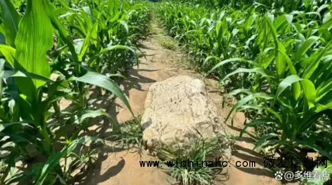 “全国最矮的山”火了