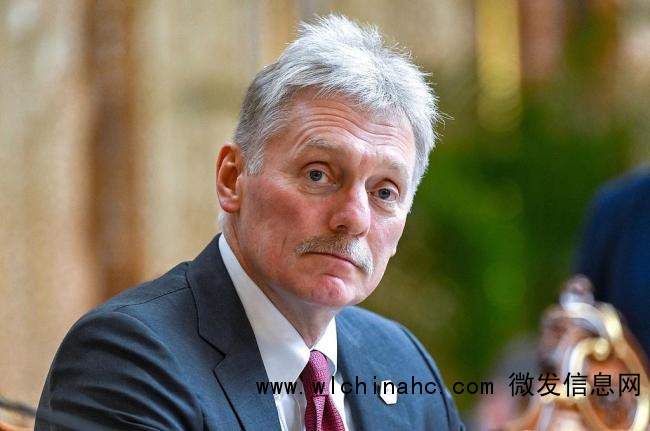 普京将不亲自出席南非G20峰会