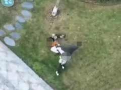 女子遛狗时被打警方介入调查 事件引发网友热议[推荐]