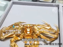 山姆黄金大闸蟹系水贝供货[推荐]