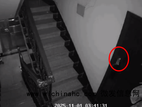 老鼠凌晨按门铃敲开住户的门 男子家里半斤灵芝孢子粉被老鼠吃光