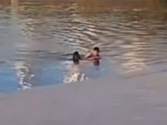 河南小伙听到救命声后跳水救人 都是河南老乡我不能不救！[推荐]