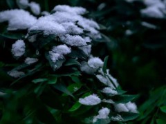 重庆已有11个区县入冬 多地提前迈入冬季[推荐]