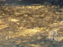 赛里木湖现“冰推奇景”！[推荐]