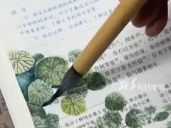 当年背过的《小石潭记》有了画面感 这名博主在课文旁边画出石潭中的荷叶!