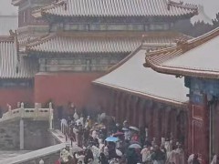 人人人人故宫雪人人人人,北京飘起入冬第一场雪!