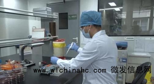 男子养五步蛇当宠物 喂食被咬致截肢