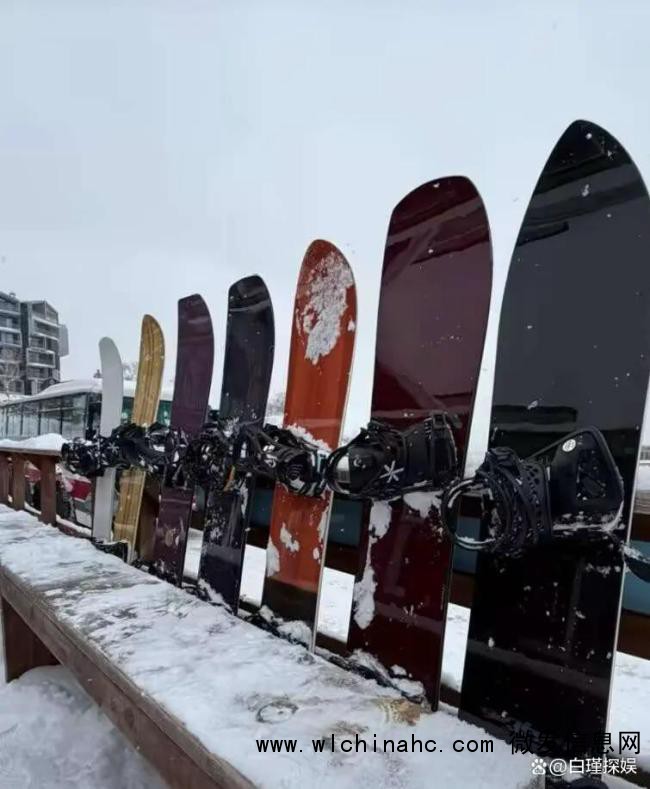 王菲同刘嘉玲夫妇滑雪 天后罕见现身雪场