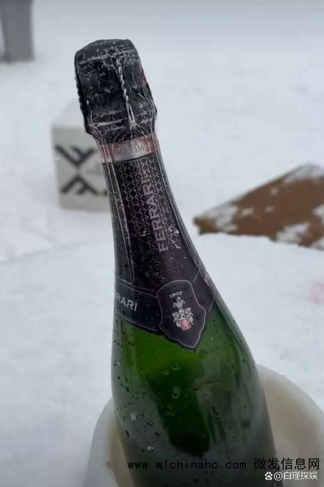 王菲同刘嘉玲夫妇滑雪 天后罕见现身雪场