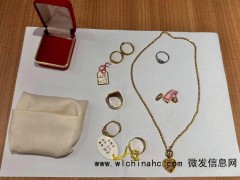 乘客将30克金首饰遗落高铁车厢 暖心归还失主[推荐]