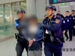 施纯芳涉绑架杀害中国公民被押解回国 中菲警务合作成果显著[推荐]
