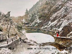 闫学晶儿子陷违规入学风波 资格合规性遭质疑[推荐]