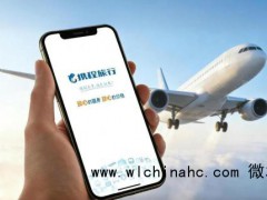 阿里美团能撼动携程地位吗 挑战者的机会与策略[推荐]