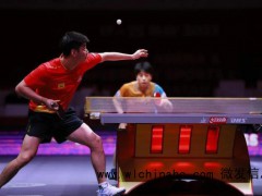 薛飞3比2淘汰张本智和 握拳怒吼庆祝 决胜局爆发逆转胜[推荐]