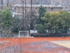 杭州初雪成了孩子们特别的记忆 校园里的冬日欢歌[推荐]