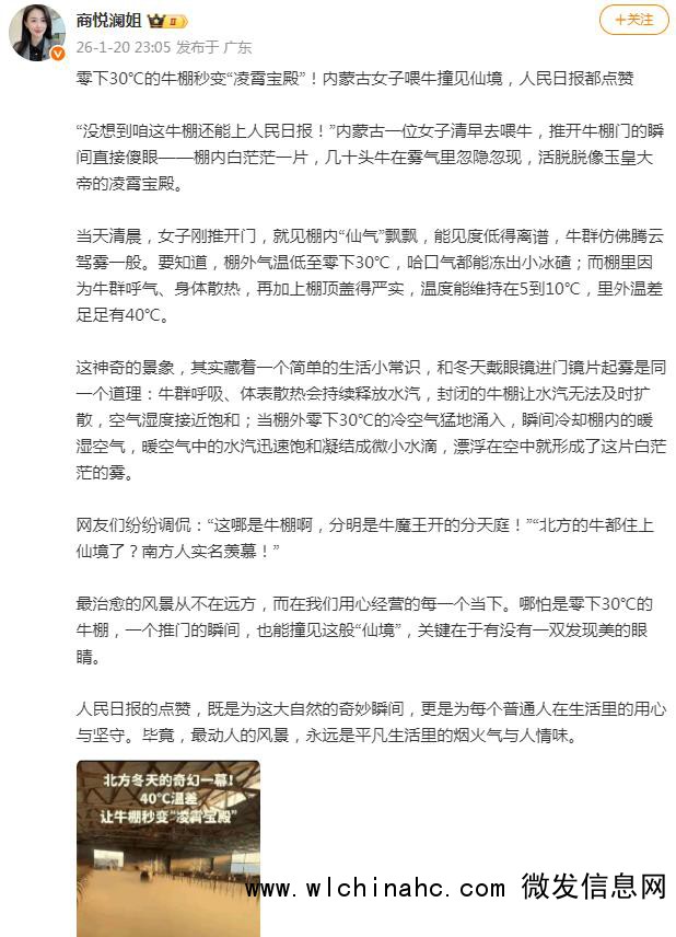 零下30℃ 牛棚一开仿佛“凌霄宝殿”