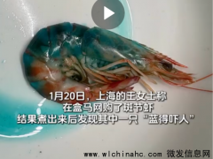 女子买虾煮熟后渗出蓝色液体 盒马回应称与养殖环境有关[推荐]