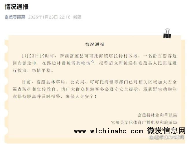 可可托海雪豹伤人事件:当事人还原真相,强调尊重自然生态