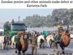 印度阅兵首次派出动物方队,印度陆军作战体系中“传统、创新和自立的融合”