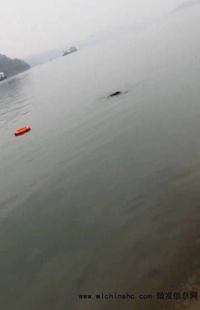 两退伍军人救落水男童一人不幸溺亡