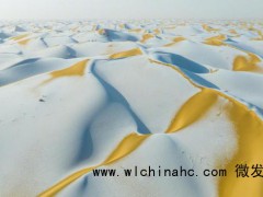 塔克拉玛干沙漠雪顶咖啡又上新 金白交融别有意境[推荐]