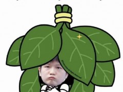 王皓说王楚钦樊振东是男队最强 大赛冠军直通伦敦[推荐]