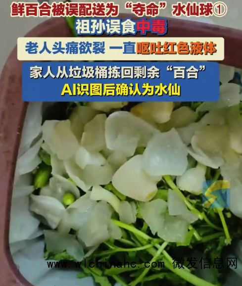 女子AI识图才知盒马配送百合是剧毒水仙 