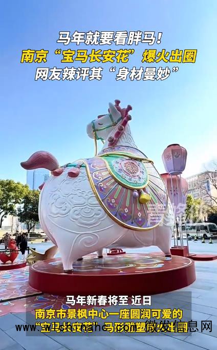 南京&ldquo;胖马&rdquo;爆火 网友:身材曼妙