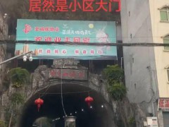 重庆一小区业主称回家像大王回洞府 隧道大门引热议[推荐]