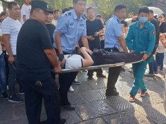 龙门石窟一游客突发疾病被抬上救护车 多方协助紧急送医[推荐]