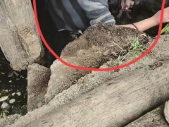 女子手机掉进旱厕 老公下坑徒手捞 农村厕所的警示[推荐]