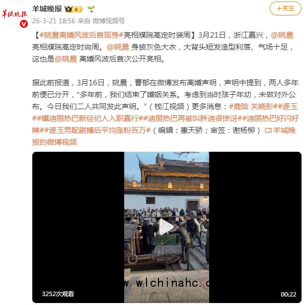 姚晨离婚风波后首次公开亮相