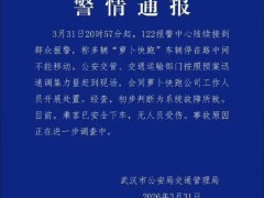 武汉多辆萝卜快跑行驶中突然停摆 系统故障导致[推荐]