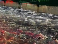 贵阳冰雹为啥形成“冰流成河” 究竟真相是什么？