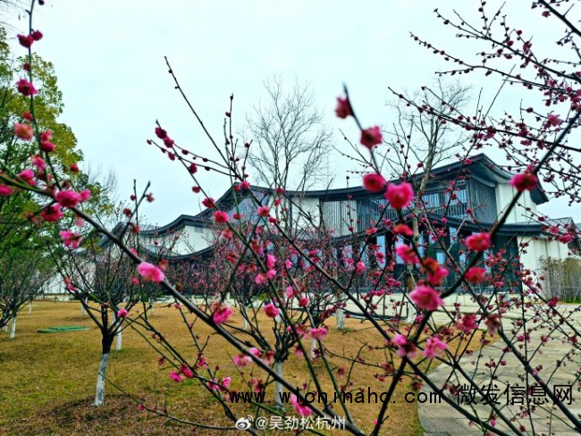 景区人多你还会进去吗 旅行意义的深度叩问