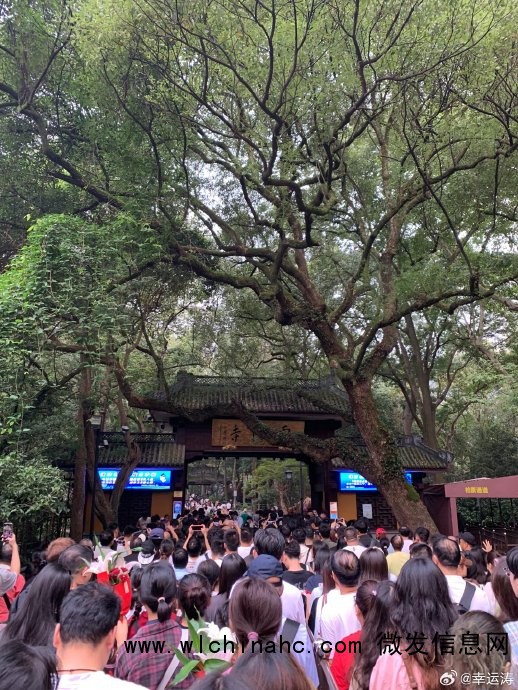 景区人多你还会进去吗