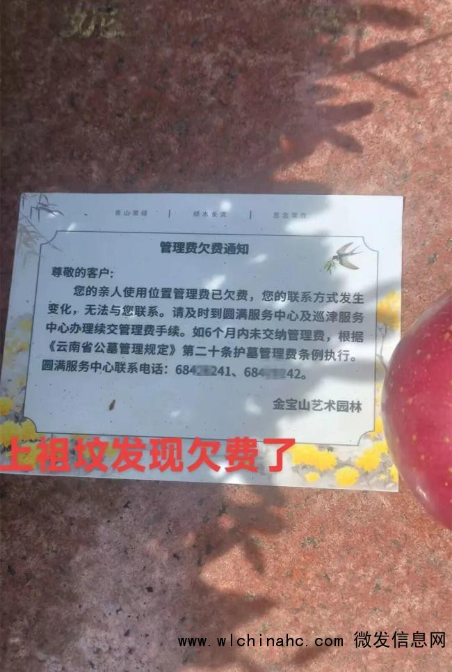 网友称上坟发现墓碑被贴欠费通知单