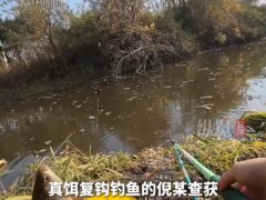 男子钓7条鱼获利50元获刑 禁渔期非法捕捞被判刑[推荐]