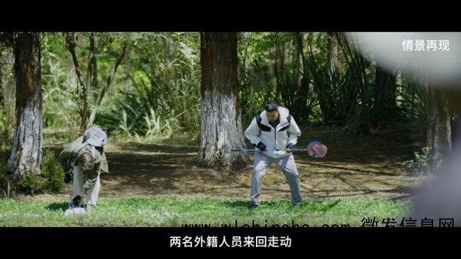 外籍人员境内违规捕蝶被识破