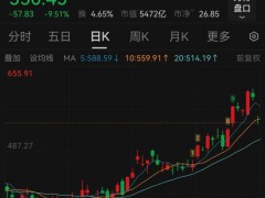 新易盛暴跌原因 净利润环比下降引担忧[推荐]