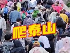 堵山、堵海、堵桥、堵路 从山林到海岸，从长桥到坦途，哪哪都在堵